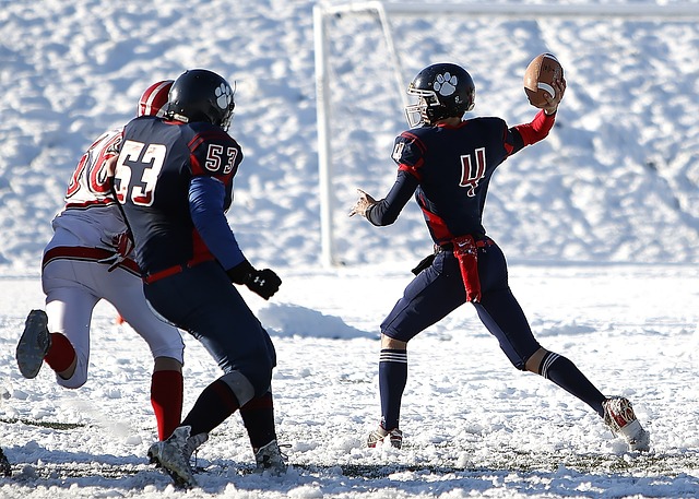 从职业球员 从职业球员