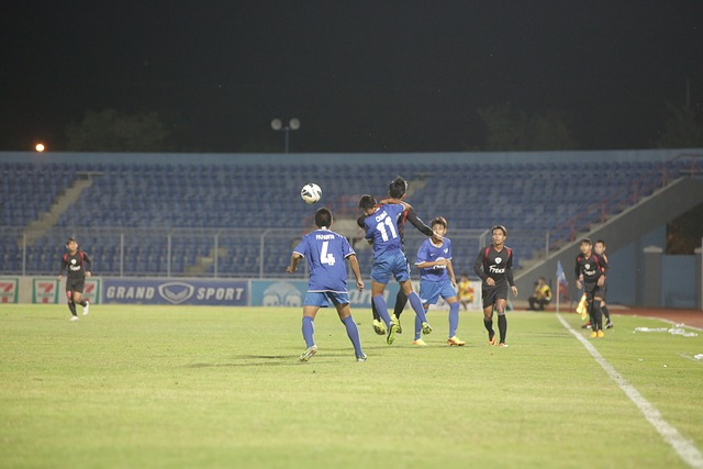 的案例可以 的案例可以