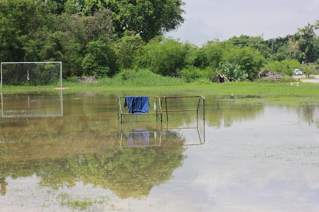 争得佳绩 争得佳绩