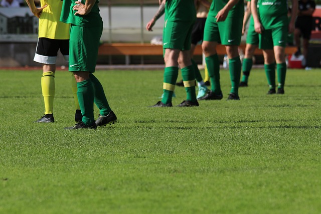 他们的丰富 他们的丰富