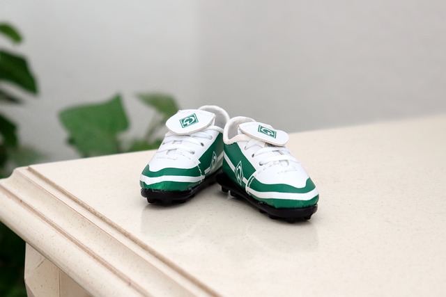 是我爱看N 是我爱看N